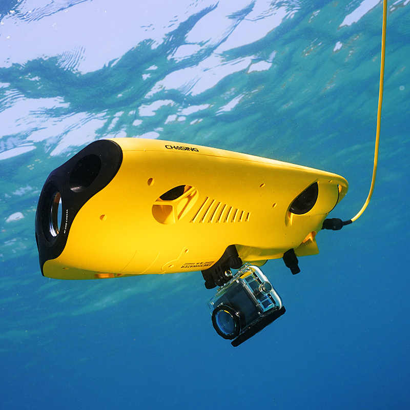 معدات الإنقاذ Alvage يمكن للسب - مراجعة Fishing Equipment Carp وسعره